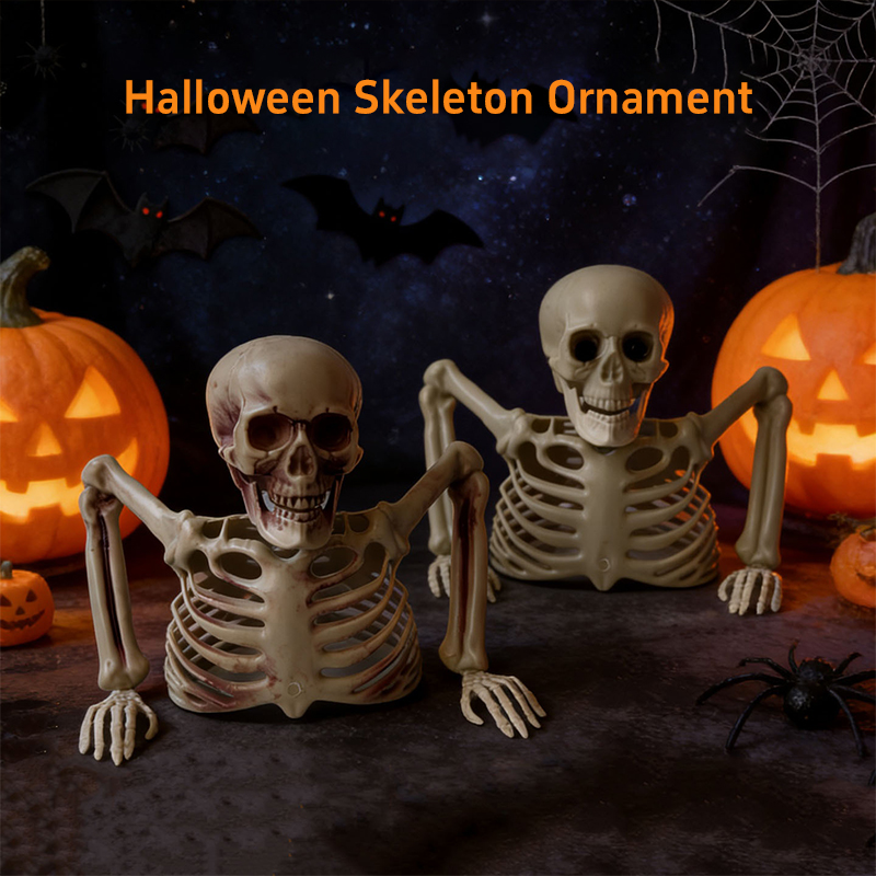 Horror Half Skeleton Skull Orn - огляд і ціна Halloween Skeleton Decoration
