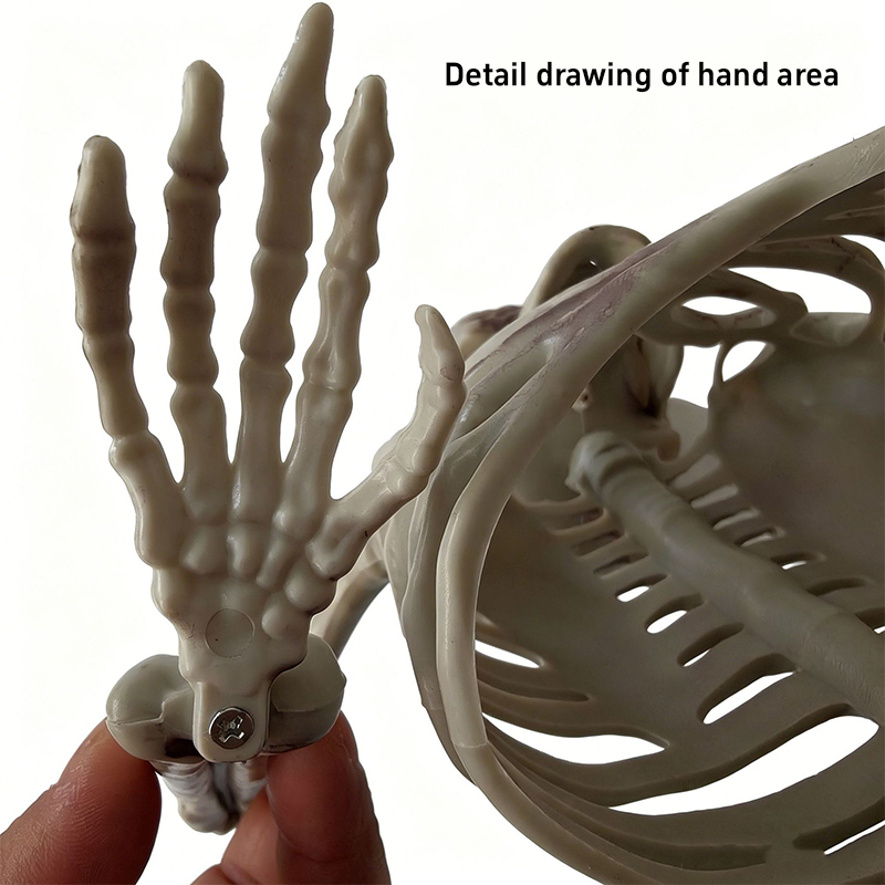 Horror Half Skeleton Skull Orn - огляд і ціна Halloween Skeleton Decoration
